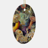 Zee Anemone Wetenschappelijke Natuur Oceaan Keramisch Ornament (Rechts)