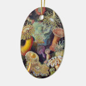 Zee Anemone Wetenschappelijke Natuur Oceaan Keramisch Ornament (Links)