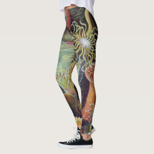 Zee Anemone Wetenschappelijke Natuur Oceaan Leggings