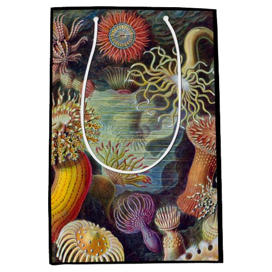 Zee Anemone Wetenschappelijke Natuur Oceaan Medium Cadeauzakje (Voorkant)