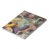 Zee Anemone Wetenschappelijke Natuur Oceaan Notitieblok (Linkerzijde)