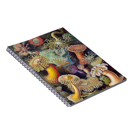 Zee Anemone Wetenschappelijke Natuur Oceaan Notitieboek (Rechterzijde)