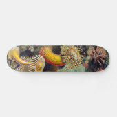 Zee Anemone Wetenschappelijke Natuur Oceaan Persoonlijk Skateboard (Horizontaal)
