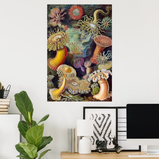 Zee Anemone Wetenschappelijke Natuur Oceaan Poster (Thuiskantoor)