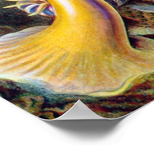 Zee Anemone Wetenschappelijke Natuur Oceaan Poster (Hoek)