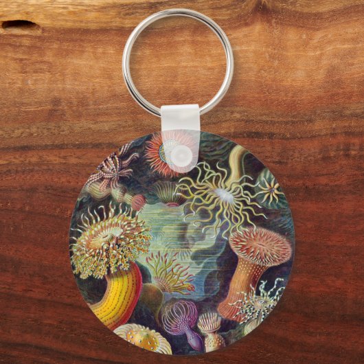 Zee Anemone Wetenschappelijke Natuur Oceaan Sleutelhanger (Voorkant)