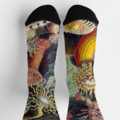 Zee Anemone Wetenschappelijke Natuur Oceaan Sokken (Top)