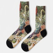 Zee Anemone Wetenschappelijke Natuur Oceaan Sokken (Links)