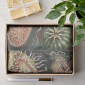 Zee Anemone Wetenschappelijke Natuur Oceaan Tissuepapier (Geschenk)