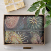 Zee Anemone Wetenschappelijke Natuur Oceaan Tissuepapier (Geschenk)