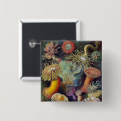 Zee Anemone Wetenschappelijke Natuur Oceaan Vierkante Button 5,1 Cm (Voorkant /achterkant)