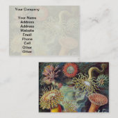 Zee Anemone Wetenschappelijke Natuur Oceaan Visitekaartje (Voorkant / Achterkant)