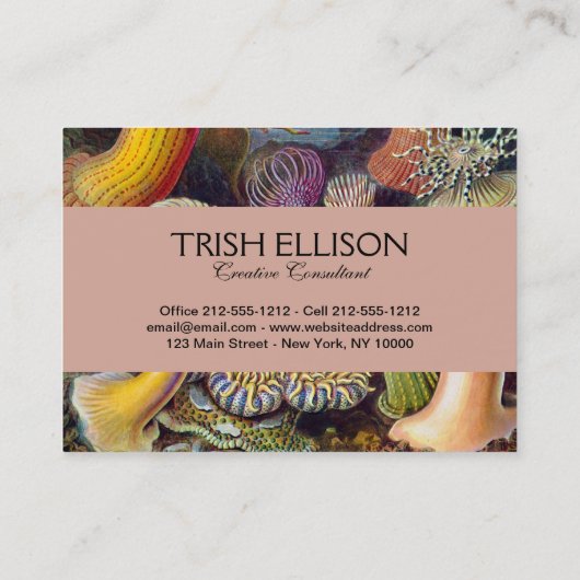 Zee Anemone Wetenschappelijke Natuur Oceaan Visitekaartje (Achterkant)