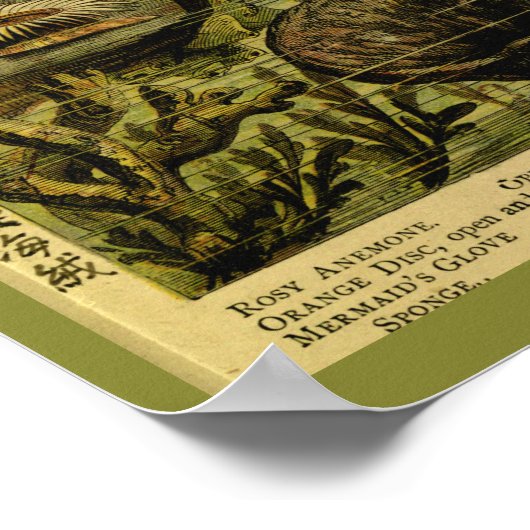  Zee Anemone Zee maakt kunst afdrukken Poster (Hoek)