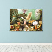 Zee Anemonen,  Marine Life Ocean Animals Canvas Afdruk (Insitu (Houten vloer))