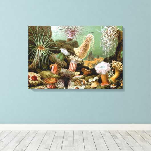 Zee Anemonen, Marine Life Ocean Animals Canvas Afdruk (Insitu (Houten vloer))