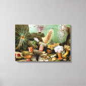 Zee Anemonen, Marine Life Ocean Animals Canvas Afdruk (Voorkant)