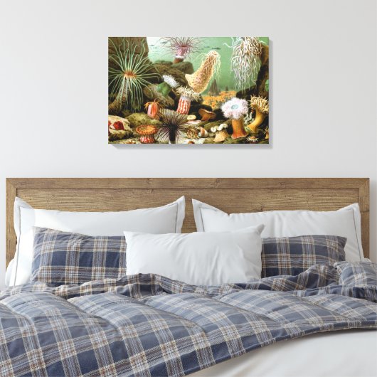 Zee Anemonen,  Marine Life Ocean Animals Canvas Afdruk (Insitu (Slaapkamer))