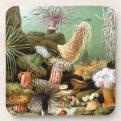 Zee Anemonen,  Marine Life Ocean Animals Drankjes Onderzetter (Voorkant)