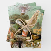 Zee Anemonen,  Marine Life Ocean Animals Inpakpapier Vel (In situ)
