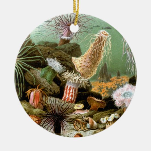 Zee Anemonen,  Marine Life Ocean Animals Keramisch Ornament (Voorkant)