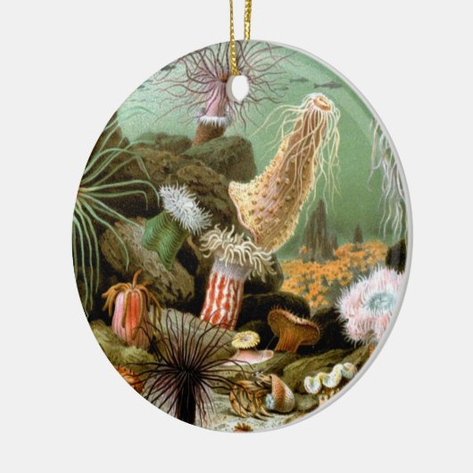 Zee Anemonen,  Marine Life Ocean Animals Keramisch Ornament (Links)