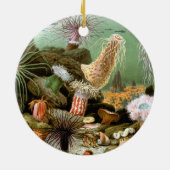 Zee Anemonen, Marine Life Ocean Animals Keramisch Ornament (Achterkant)