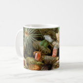 Zee Anemonen,  Marine Life Ocean Animals Koffiemok (Voorkant links)