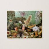 Zee Anemonen,  Marine Life Ocean Animals Legpuzzel (Horizontaal)