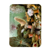 Zee Anemonen,  Marine Life Ocean Animals Magneet (Verticaal)