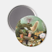 Zee Anemonen, Marine Life Ocean Animals Magneet (Voorkant / Achterkant)