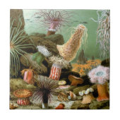 Zee Anemonen,  Marine Life Ocean Animals Tegeltje (Voorkant)