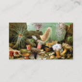 Zee Anemonen,  Marine Life Ocean Animals Visitekaartje (Achterkant)