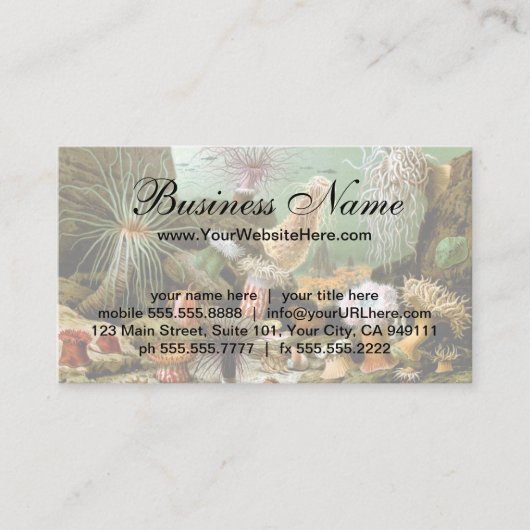 Zee Anemonen,  Marine Life Ocean Animals Visitekaartje (Voorkant)