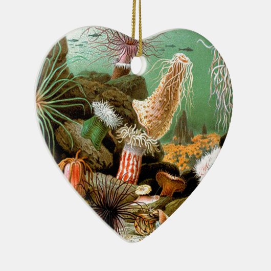 Zee anemonen onderwater keramisch ornament (Rechts)