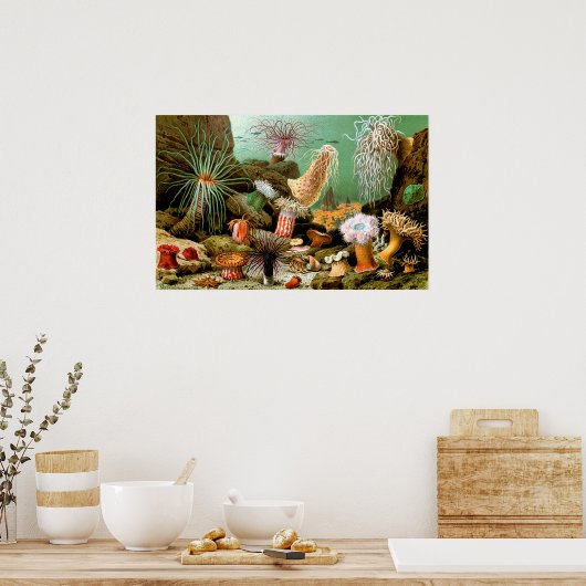 Zee anemonen onderwater Poster (Keuken)