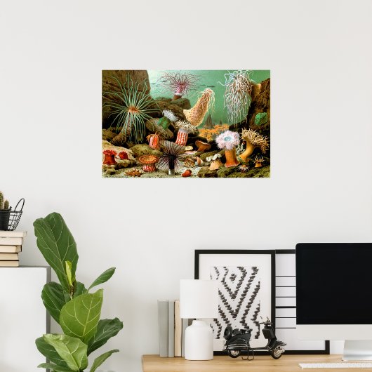 Zee anemonen onderwater Poster (Thuiskantoor)