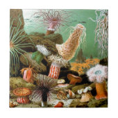 Zee anemonen onderwater tegeltje (Voorkant)
