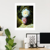 Zee anemonen poster (Thuiskantoor)