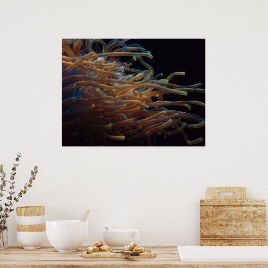 Zee anemonen poster (Keuken)
