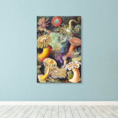  Zee Anemones, Actiniae, ingediend door Ernst Haec Canvas Afdruk (Insitu (Houten vloer))