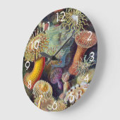 Zee Anemones, Actiniae, ingediend door Ernst Haec Grote Klok (Hoek)