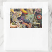  Zee Anemones, Actiniae, ingediend door Ernst Haec Rechthoekige Sticker (Tas)