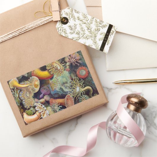 Zee Anemones, Actiniae, ingediend door Ernst Haec Rechthoekige Sticker (Geschenken)