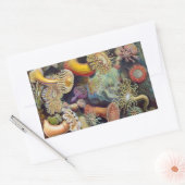  Zee Anemones, Actiniae, ingediend door Ernst Haec Rechthoekige Sticker (Envelop)