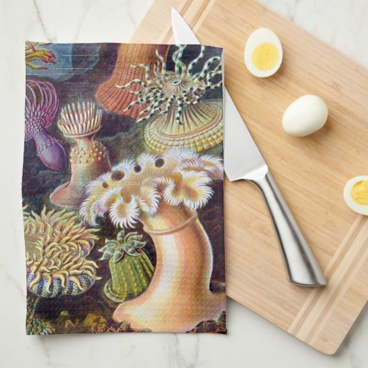  Zee Anemones, Actiniae, ingediend door Ernst Haec Theedoek (Quarter Fold)