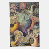 Zee Anemones, Actiniae, ingediend door Ernst Haec Theedoek (Verticaal)