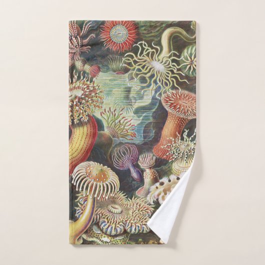 Zee Anemones, Actiniae Seeanemonen Ernst Haeckel Bad Handdoek (Handdoek)