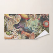 Zee Anemones, Actiniae Seeanemonen Ernst Haeckel Bad Handdoek (Handdoek)