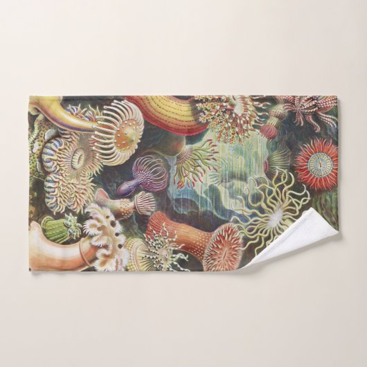 Zee Anemones, Actiniae Seeanemonen Ernst Haeckel Bad Handdoek (Handdoek)